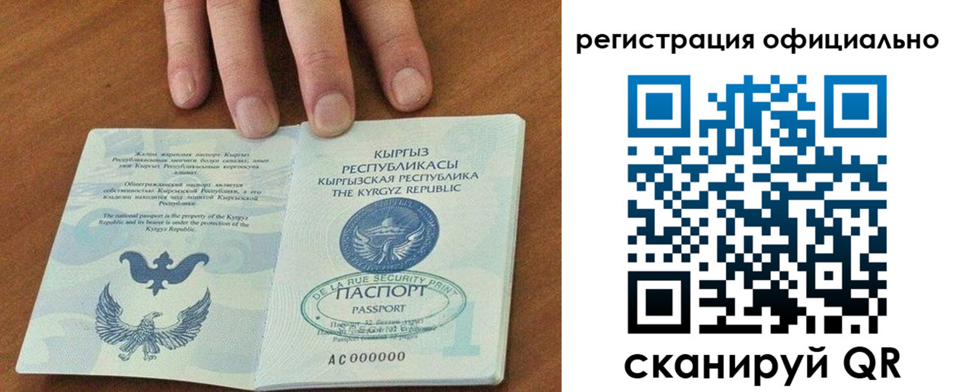 прописка в Завитинске